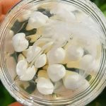 کرم ضد‌چروک مرواریدی بیوآکوا