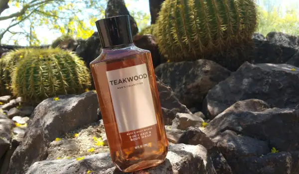 بهترین بادی میست مردانه و زنانه از کدام برند هستند؟