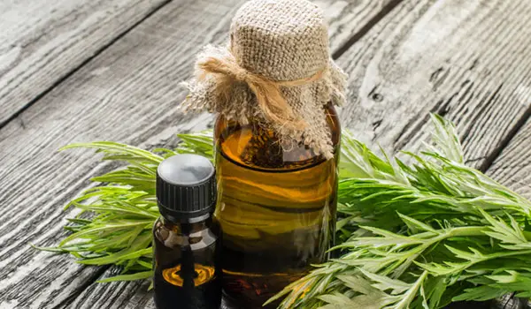 روغن خراطین برای لب 